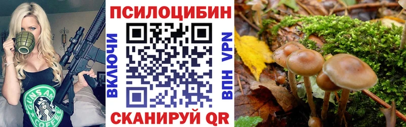 Псилоцибиновые грибы GOLDEN TEACHER  Донской 